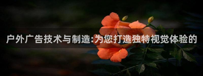 杏宇平台登录步骤是什么：户外广告技术与制