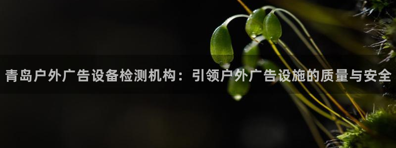杏宇平台官网注册：青岛户外广告设备检测机构：引领户外广告设施的质量与安全