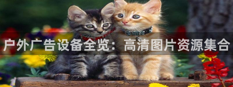 杏宇代理注册：户外广告设备全览：高清图片资源集合