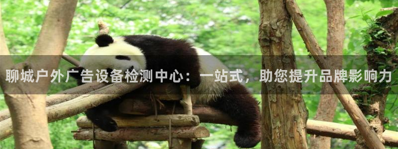 杏宇平台登录步骤图：聊城户外广告设备检测中心：一站式，助您提升品牌影响力