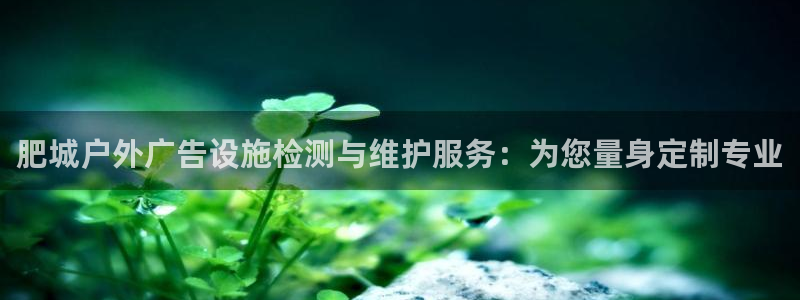 杏宇平台总代理是谁：肥城户外广告设施检测