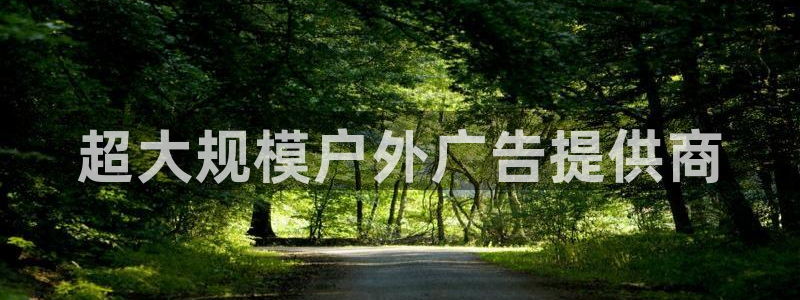 杏宇平台登录方法：超大规模户外广告提供商