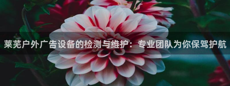 杏宇平台代理怎么样啊：莱芜户外广告设备的检测与维护：专业团队为你保驾护航