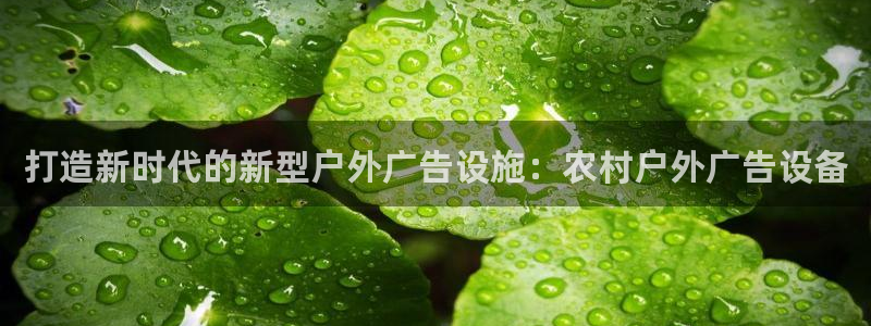 杏宇平台登录步骤是什么：打造新时代的新型
