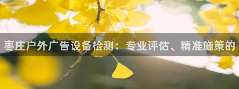 杏宇平台招商电话号码：枣庄户外广告设备检测：专业评估、精准施策的