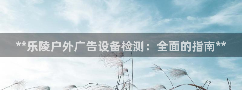 杏宇平台招商怎么样：**乐陵户外广告设备检测：全面的指南**