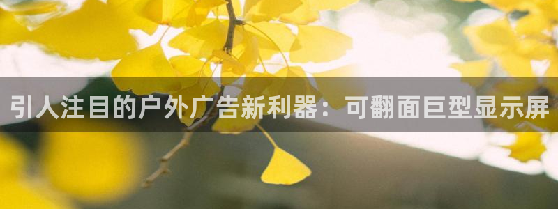 杏宇平台怎么样赚钱