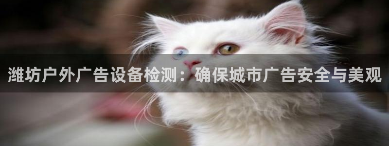 杏宇平台是什么