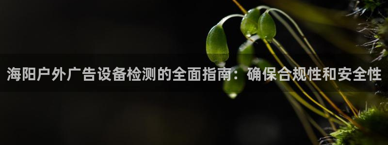 杏宇平台代理怎么赚钱快：海阳户外广告设备检测的全面指南：确保合规性和安全性