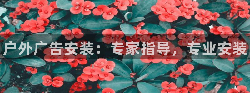 杏宇平台代理怎么样啊