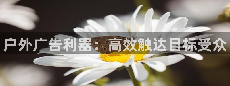 杏宇平台代理怎么样啊