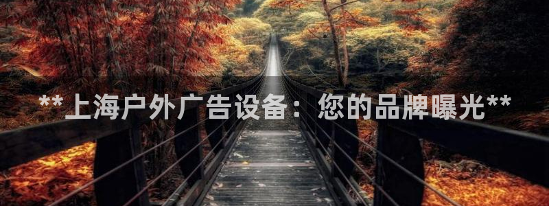 杏宇平台是什么：**上海户外广告设备：您的品牌曝光**
