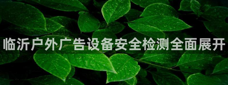 杏宇平台代理怎么赚钱快
