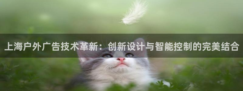 杏宇平台提现为什么这么久呢：上海户外广告技术革新：创新设计与智能控制的完美结合