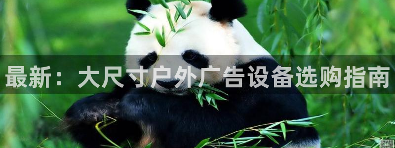 杏宇平台代理多少钱一次：最新：大尺寸户外广告设备选购指南