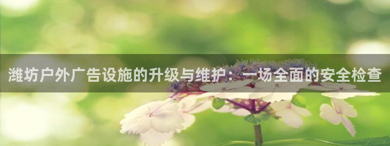 杏宇平台主管：潍坊户外广告设施的升级与维护：一场全面的安全检查