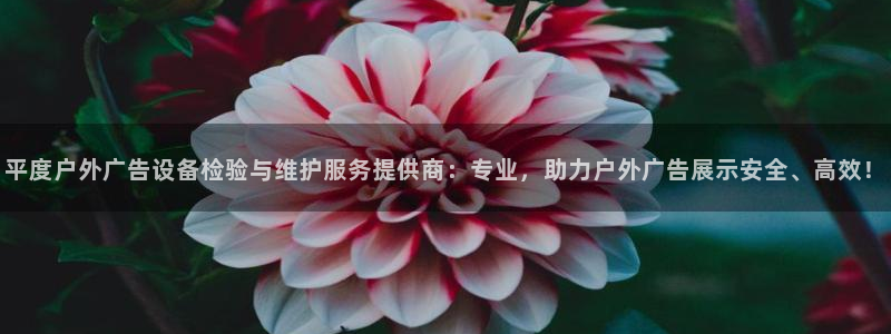 杏宇平台怎么样知乎：平度户外广告设备检验与维护服务提供商：专业，助力户外广告展示安全、高效！