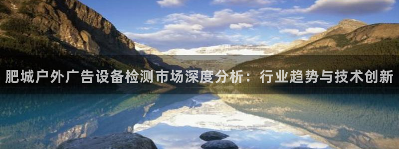 杏宇平台代理多少钱一次：肥城户外广告设备检测市场深度分析：行业趋势与技术创新
