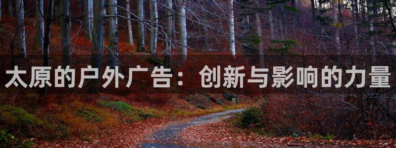 杏宇平台总代理是谁：太原的户外广告：创新与影响的力量