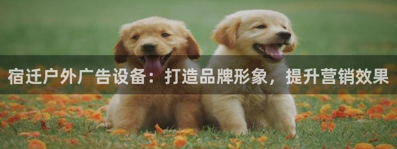 杏宇平台登录步骤