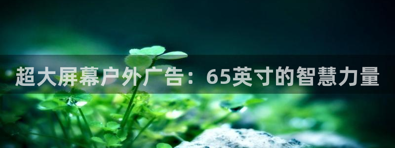 杏宇平台总代理：超大屏幕户外广告：65英寸的智慧力量