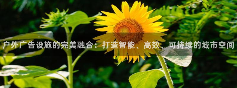 杏宇平台总代理：户外广告设施的完美融合：打造智能、高效、可持续的城市空间