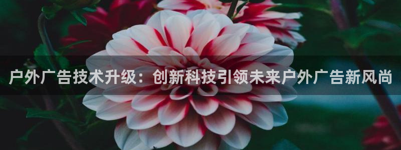 杏宇平台测速链接：户外广告技术升级：创新科技引领未来户外广告新风尚