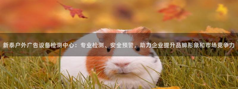 杏宇平台主管：新泰户外广告设备检测中心：专业检测、安全预警，助力企业提升品牌形象和市场竞争力