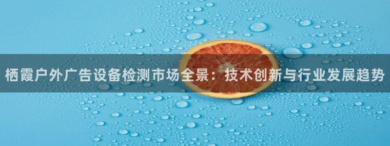 杏宇平台代理怎么样啊：栖霞户外广告设备检测市场全景：技术创新与行业发展趋势