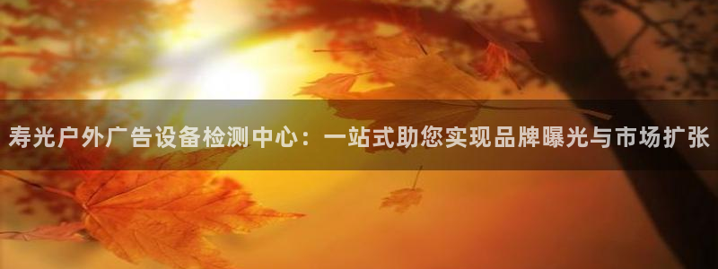 杏宇平台招商怎么样：寿光户外广告设备检测中心：一站式助您实现品牌曝光与市场扩张