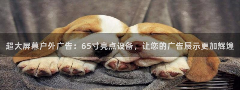 杏宇平台开户：超大屏幕户外广告：65寸亮点设备，让您的广告展示更加辉煌
