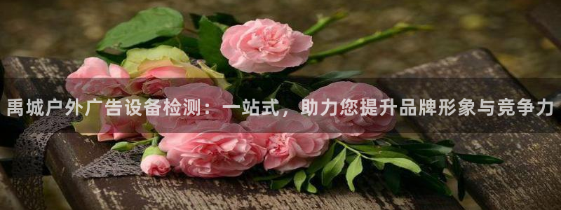 杏宇平台总代理是谁：禹城户外广告设备检测：一站式，助力您提升品牌形象与竞争力