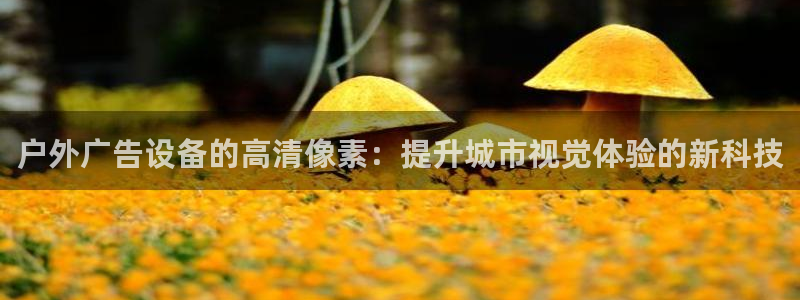 杏宇平台注册地址：户外广告设备的高清像素：提升城市视觉体验的新科技