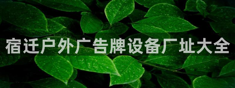 杏宇平台官网注册