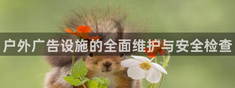 杏宇平台提现为什么这么久呢：户外广告设施的全面维护与安全检查