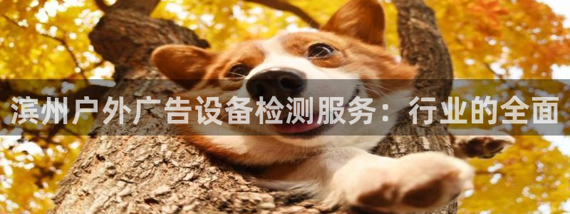 杏宇平台代理怎么赚钱快：滨州户外广告设备检测服务：行业的全面