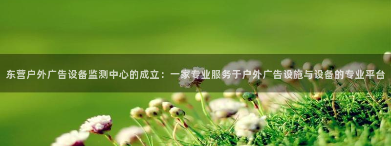 杏宇平台好吗：东营户外广告设备监测中心的