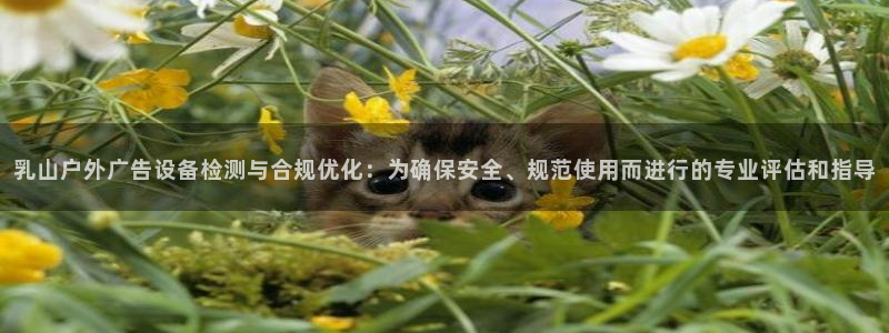 杏宇官方平台官网入口：乳山户外广告设备检